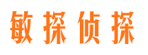 利辛侦探公司